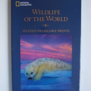 NATIONAL GEOGRAPHIC - Wildlife Prints